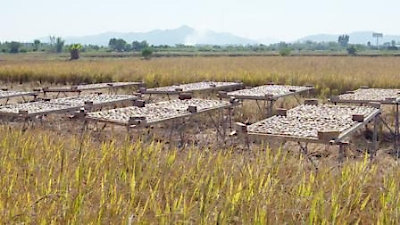 Flavorful Origins Season 1 Episode 8