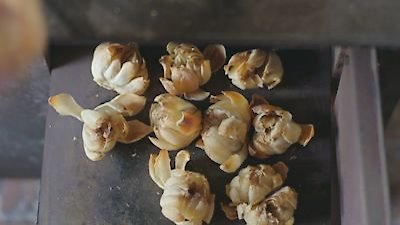 Flavorful Origins Season 3 Episode 2