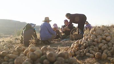 Flavorful Origins Season 3 Episode 10