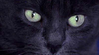 Paranormal Caught on Camera Season 7 Episode 16