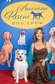 American Rescue Dog Show