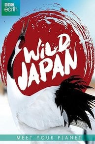 Wild Japan