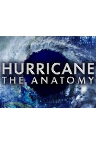 Hurricane the Anatomy