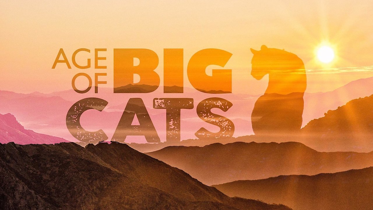 Age of Big Cats