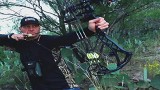 Speed Buck