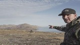Black Tails of Kodiak