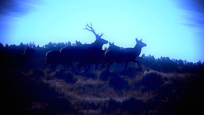 Sasquatch Mountain Man Season 4 Episode 4