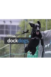 Dock Dogs