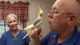 Incredible! The Story of Dr. Pol