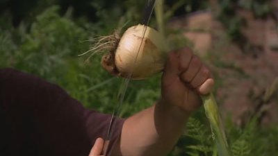 River Cottage Forever    Season 1 Episode 6