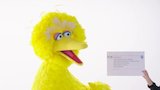 The Cast of 'Sesame Street' Answer the Web's Most Searched Questions