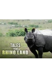 Tails from Rhino Land