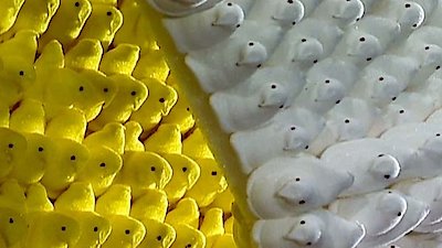 Unwrapped Season 4 Episode 4