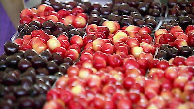 Unwrapped Season 16 Episode 7