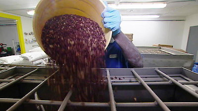 Unwrapped Season 22 Episode 12