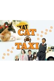 Cat Taxi