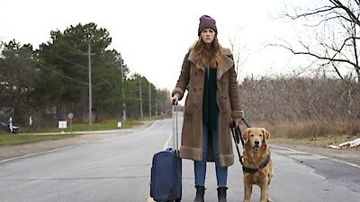 In the Dark Season 3 Episode 3