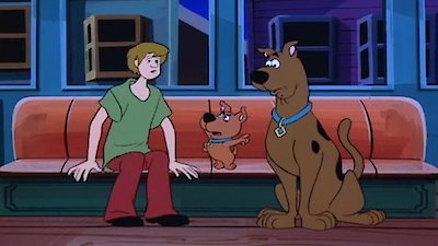 Scooby-Doo and Scrappy-Doo Season 9 Episode 10