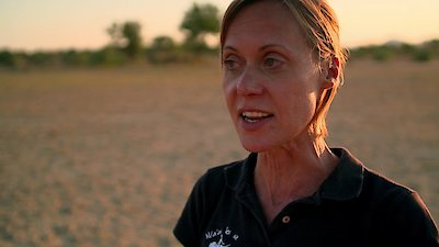 How Do Animals Do That? Season 1 Episode 5