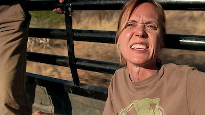 How Do Animals Do That? Season 1 Episode 2