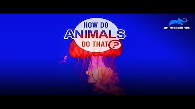 How Do Animals Do That? Season 2 Episode 16