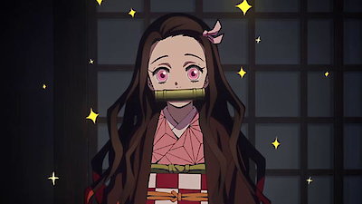 Assista Demon Slayer: Kimetsu no Yaiba temporada 1 episódio 15 em