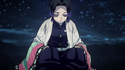 Watch Demon Slayer Kimetsu No Yaiba Season 1 Episode 24 Rehabilitation Training Online Now