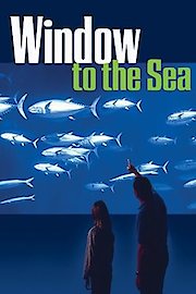 Window to the Sea