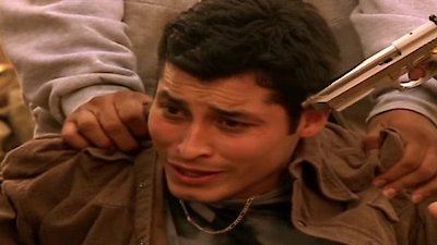 Shark Season 2 Episode 7