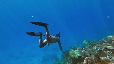 Survivor Season 48 Episode 11