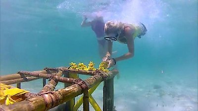 Survivor Season 27 Episode 6