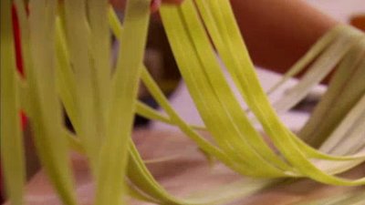 Kelsey's Essentials Season 1 Episode 1