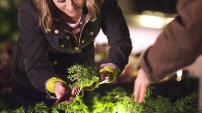 Kelsey's Essentials Season 3 Episode 8