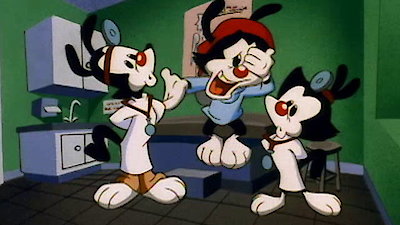 Animaniacs Season 1 Episode 33