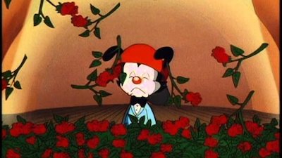 Animaniacs Season 2 Episode 25