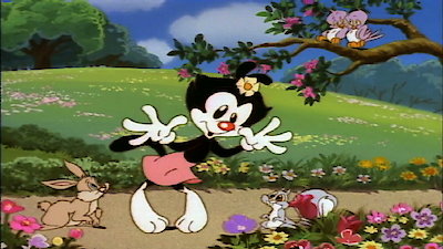 Animaniacs Season 3 Episode 3