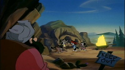 Animaniacs Season 3 Episode 5