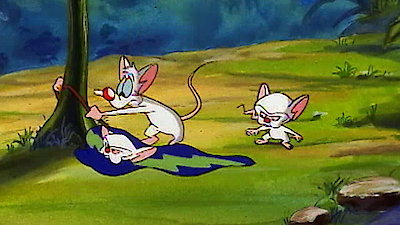 Pinky & the Brain Season 1 Episode 5