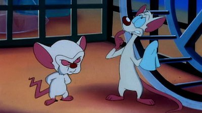 Pinky & the Brain Season 1 Episode 18