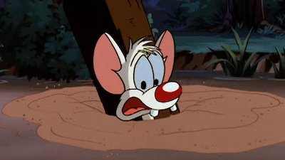 Pinky & the Brain Season 1 Episode 20