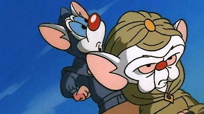 Pinky & the Brain Season 2 Episode 8