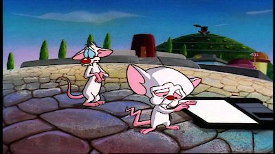 Pinky & the Brain Season 3 Episode 17