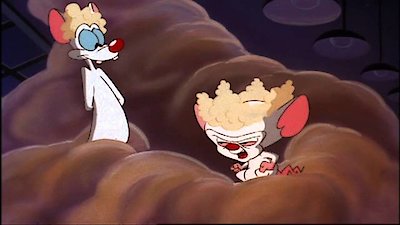 Pinky & the Brain Season 3 Episode 9