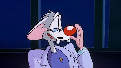 Pinky & the Brain Season 3 Episode 14