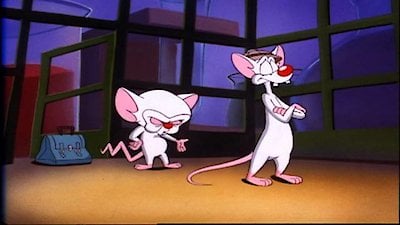 Pinky & the Brain Season 2 Episode 10