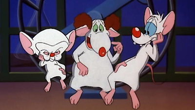 Pinky & the Brain Season 3 Episode 3