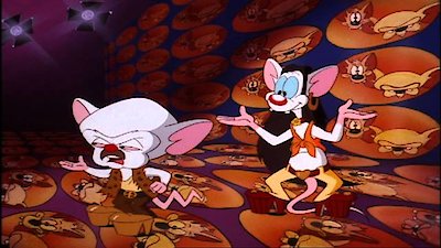 Pinky & the Brain Season 3 Episode 12