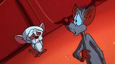 Watch Pinky The Brain Season 2 Episode 20 A Pinky And The Brain   Episode Image 400x225 