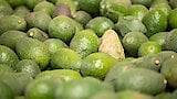 S2 E2: Avocado Wars - The Battle Over Water Rights In Chile