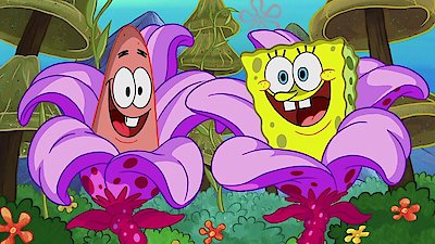 SpongeBob SquarePants Season 12 Episode 34